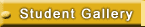 Online Computer Generated
Jewellery / Jewelry / Jewellry
Designing Courses, distance
  elearning, JewelCAD, CAM